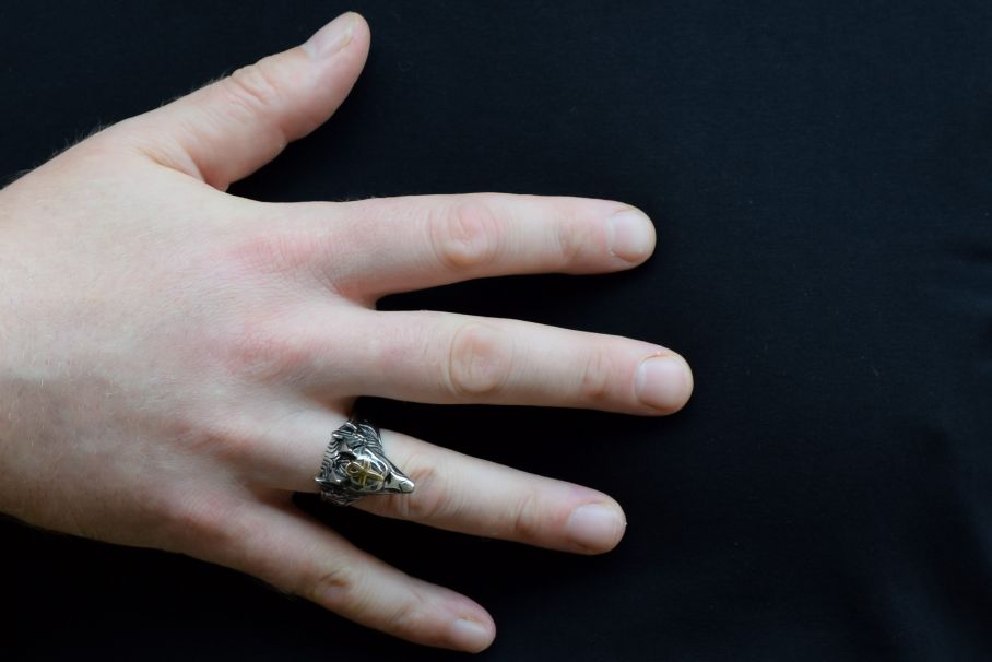 Mannen ring, Anubis sieraad, mannen sieraden, zilveren mannen ring, dier ring voor mannen, Anubis mannen ring, stalen mannen ring, stoere mannen ring