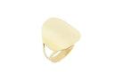 14k Ronde Zegelring, Ovaal, Brede gouden ring, 14k Ring, Vrouwen Ring, Duim Ring, Statement Ring, Sieraden, Graveer Ring